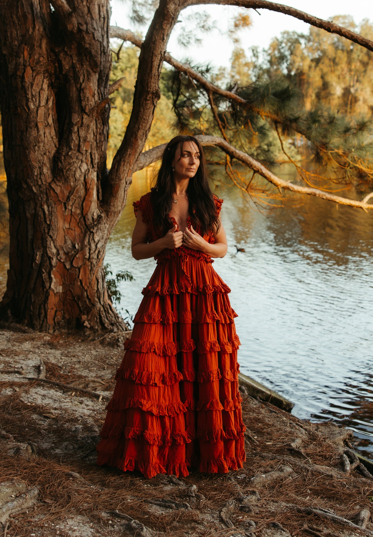 Charlotte Dress Rust