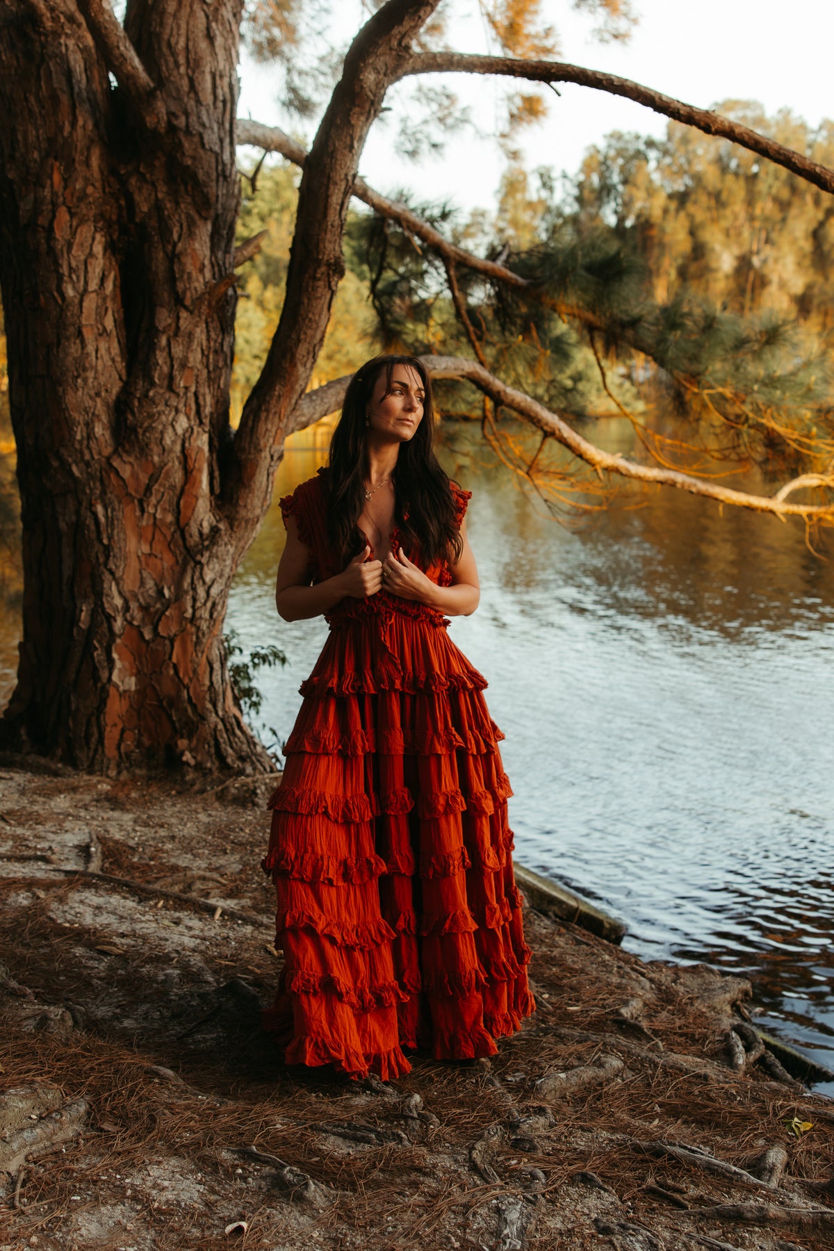 Charlotte Dress Rust